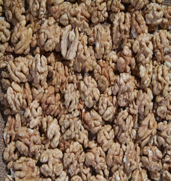Ceviz İçi 500 G